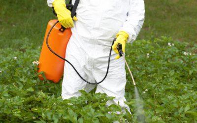 Combien de temps met le glyphosate pour agir ?