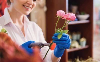 Comment bouturer une rose de fleuriste facilement ?