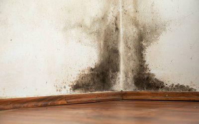 Comment traiter des murs humides dans une maison ancienne ?