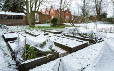 Comment organiser son potager en hiver facilement ?