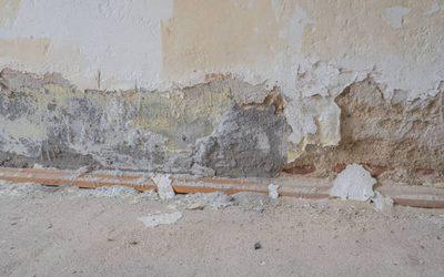 Comment se débarrasser de la mousse blanche sur un mur ?